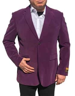 2 Button Purple Blazer